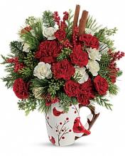 Send a Hug® Christmas Cardinal by Teleflora