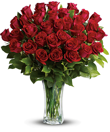 Love and Devotion - 2 Dozen Long Stemmed Red Roses