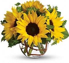 Sunny Sunflowers